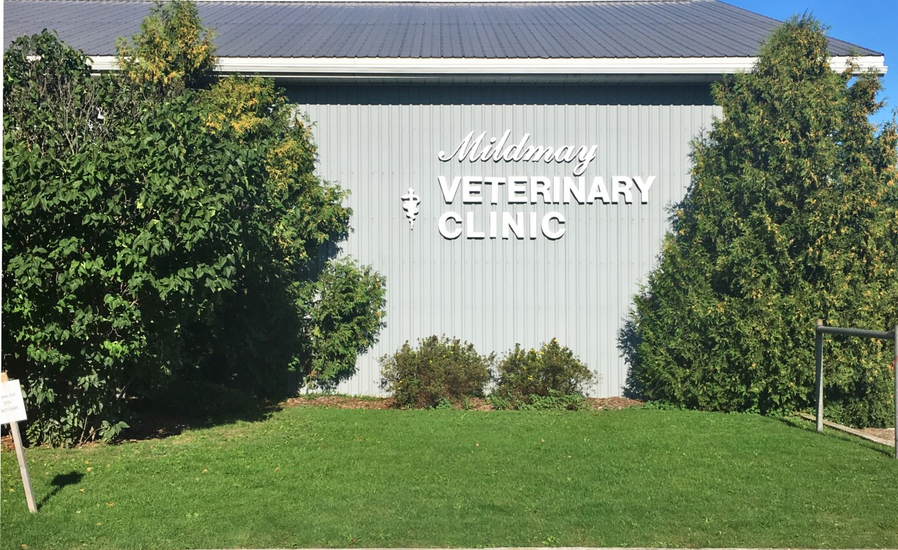 Mildmay Veterinary Clinic in Mildmay, Ontario 