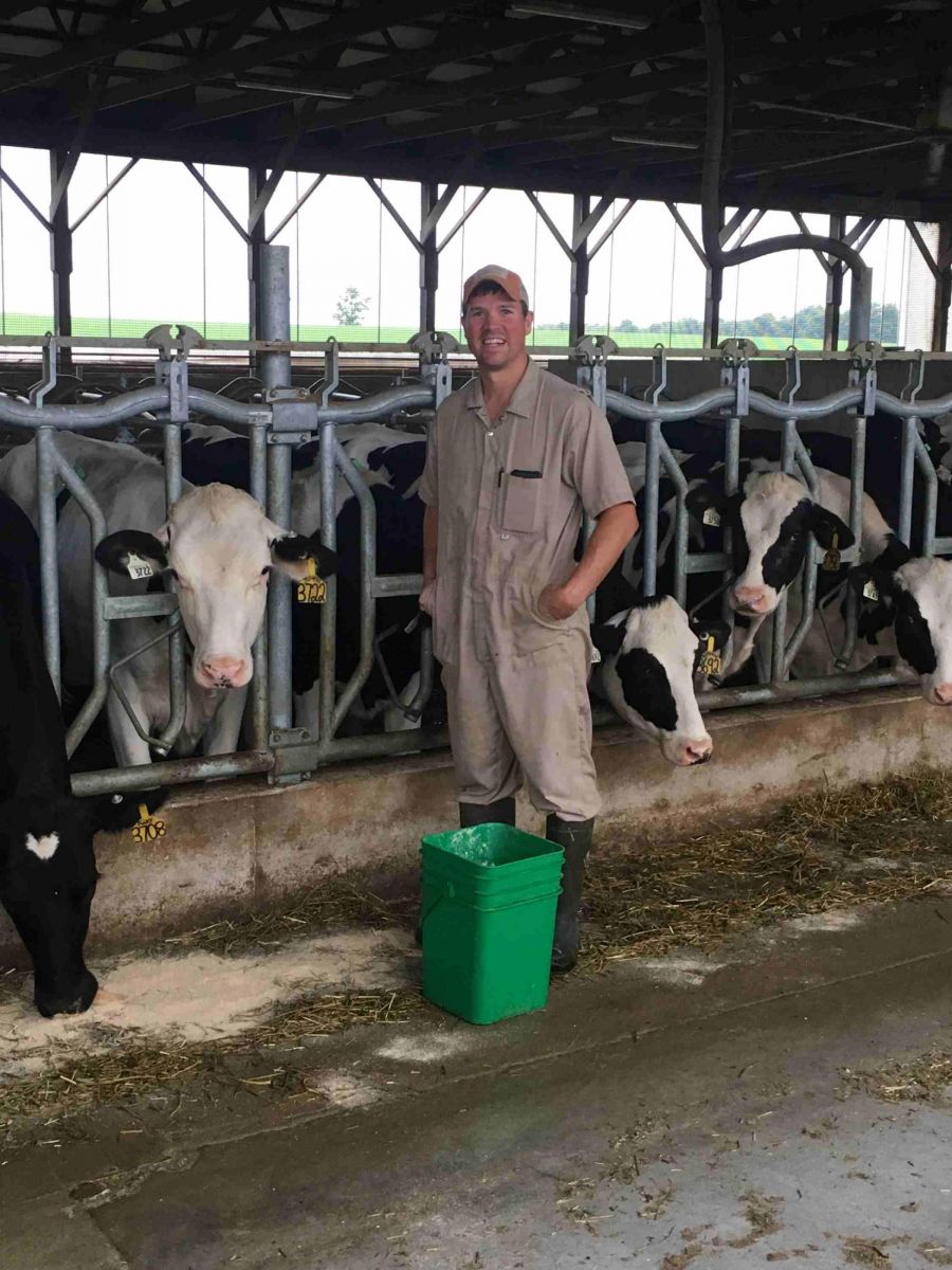 Photo of dairy farmer with cows