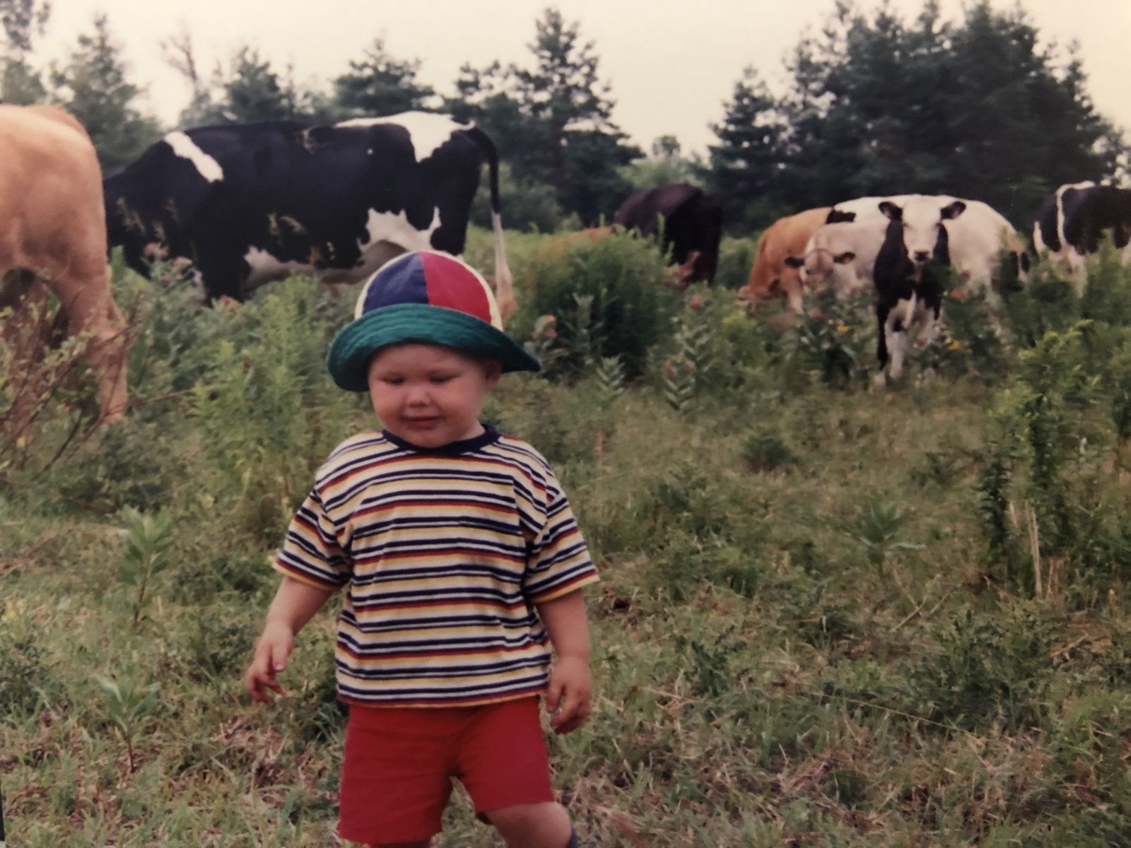 A future student veterinarian in the field with cows