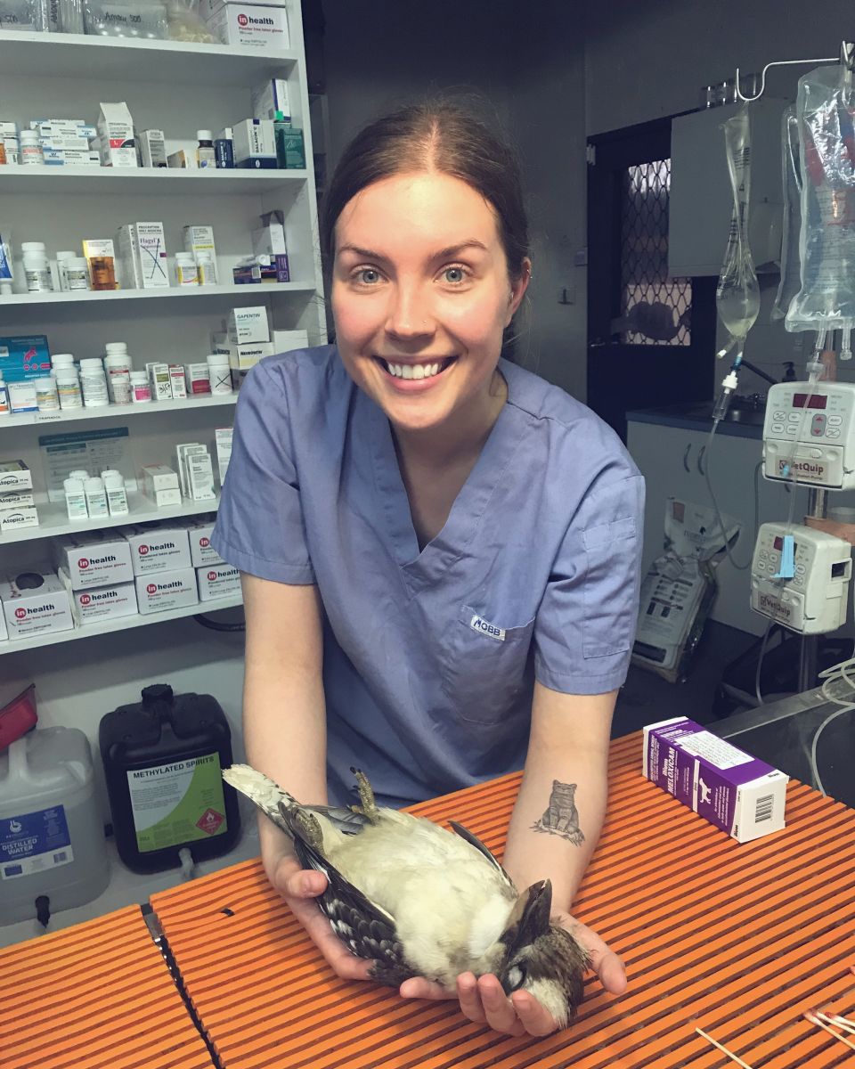 Veterinary student with a kookaburra