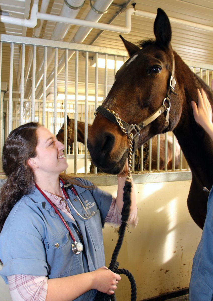 OVC student veterinarian with a horse