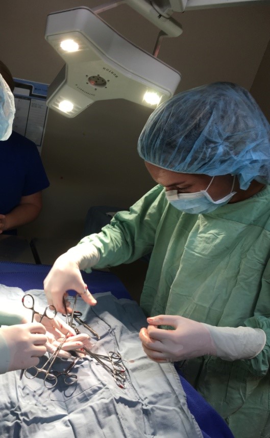Student veterinarian in surgery