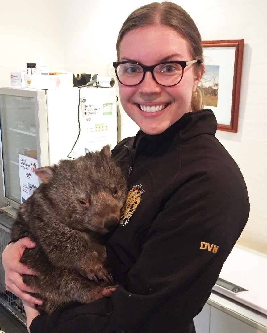 Holding a wombat