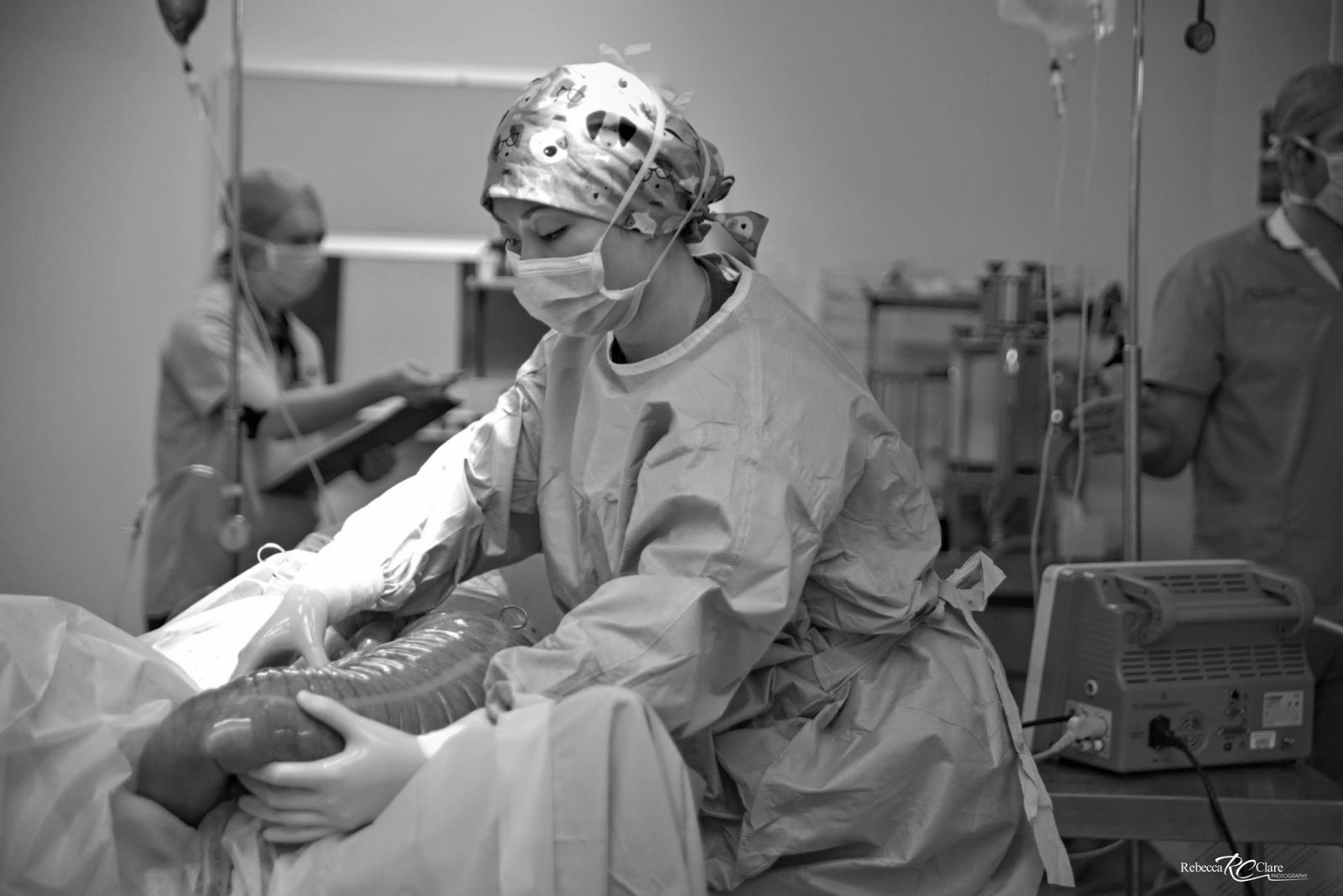 Photo of pony in surgery suite