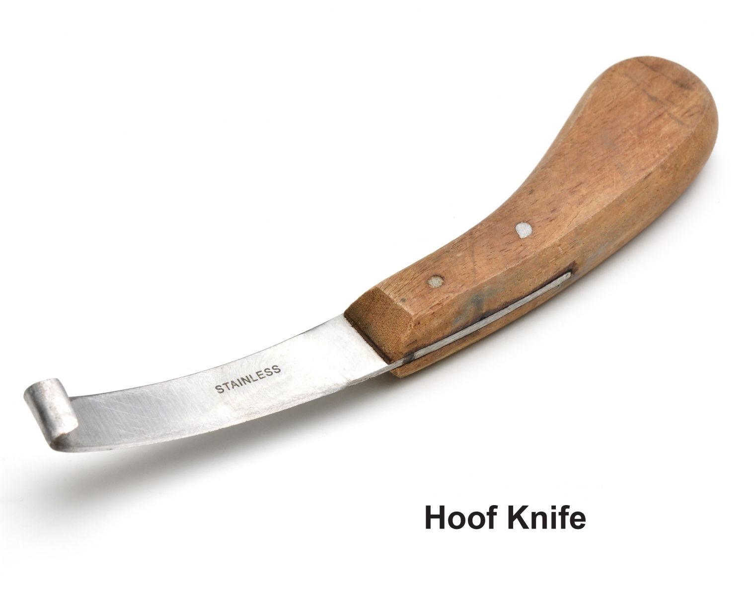 Photo of hoof knife