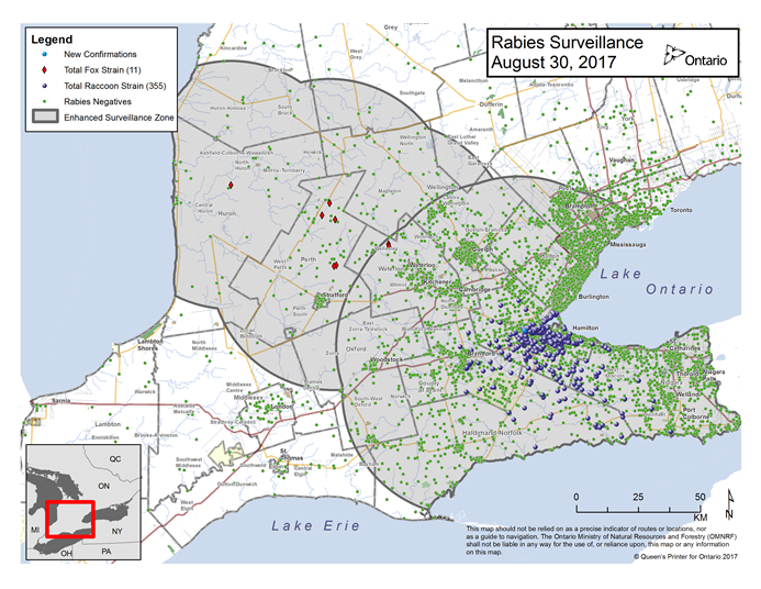 Rabies surveillance map